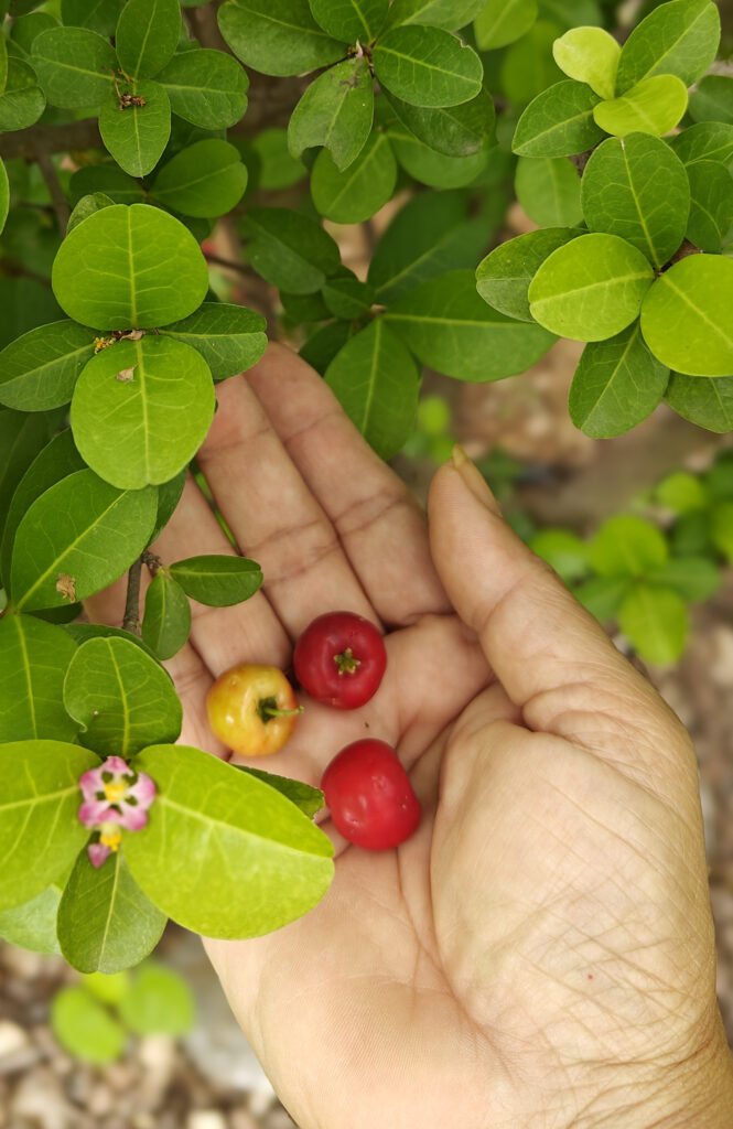 41 img20230716100042