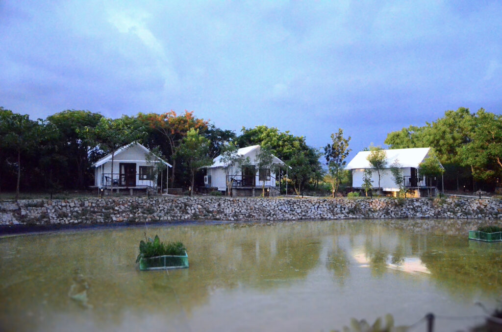 86 tent elevationdsc 0305