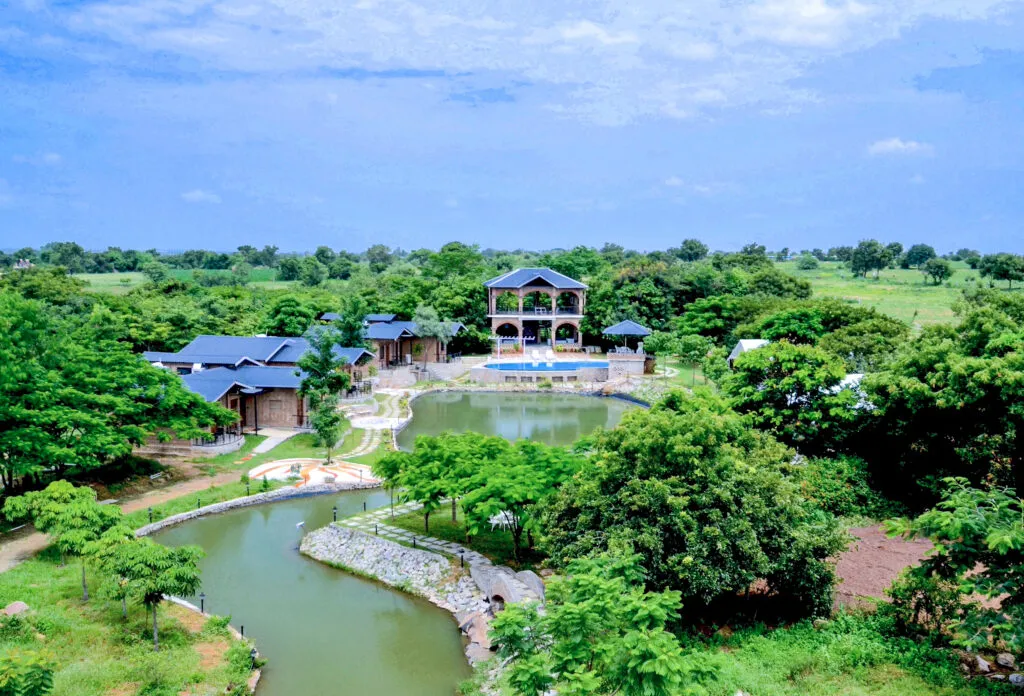 green and pondcover