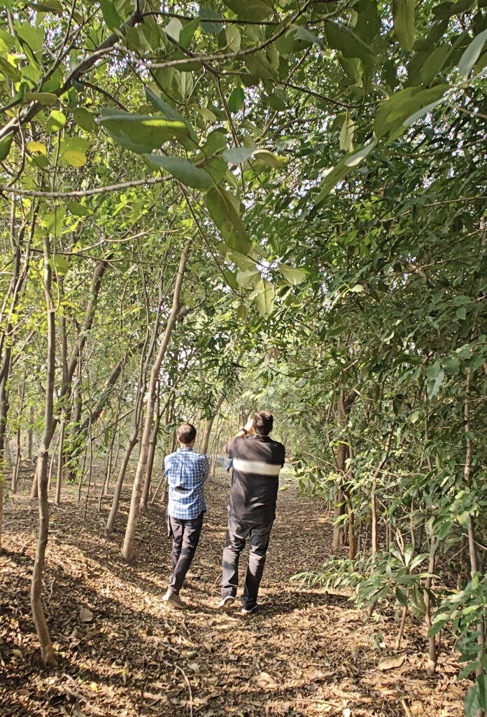 men miyawaki forest115 img20241214142712 01