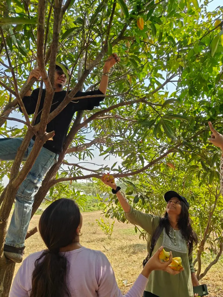 College Students 1 768x1024