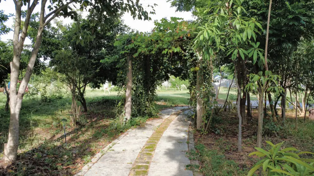 Trees and landscaped gardens at Arbor Road Estate, a nature resort near Hyderabad.