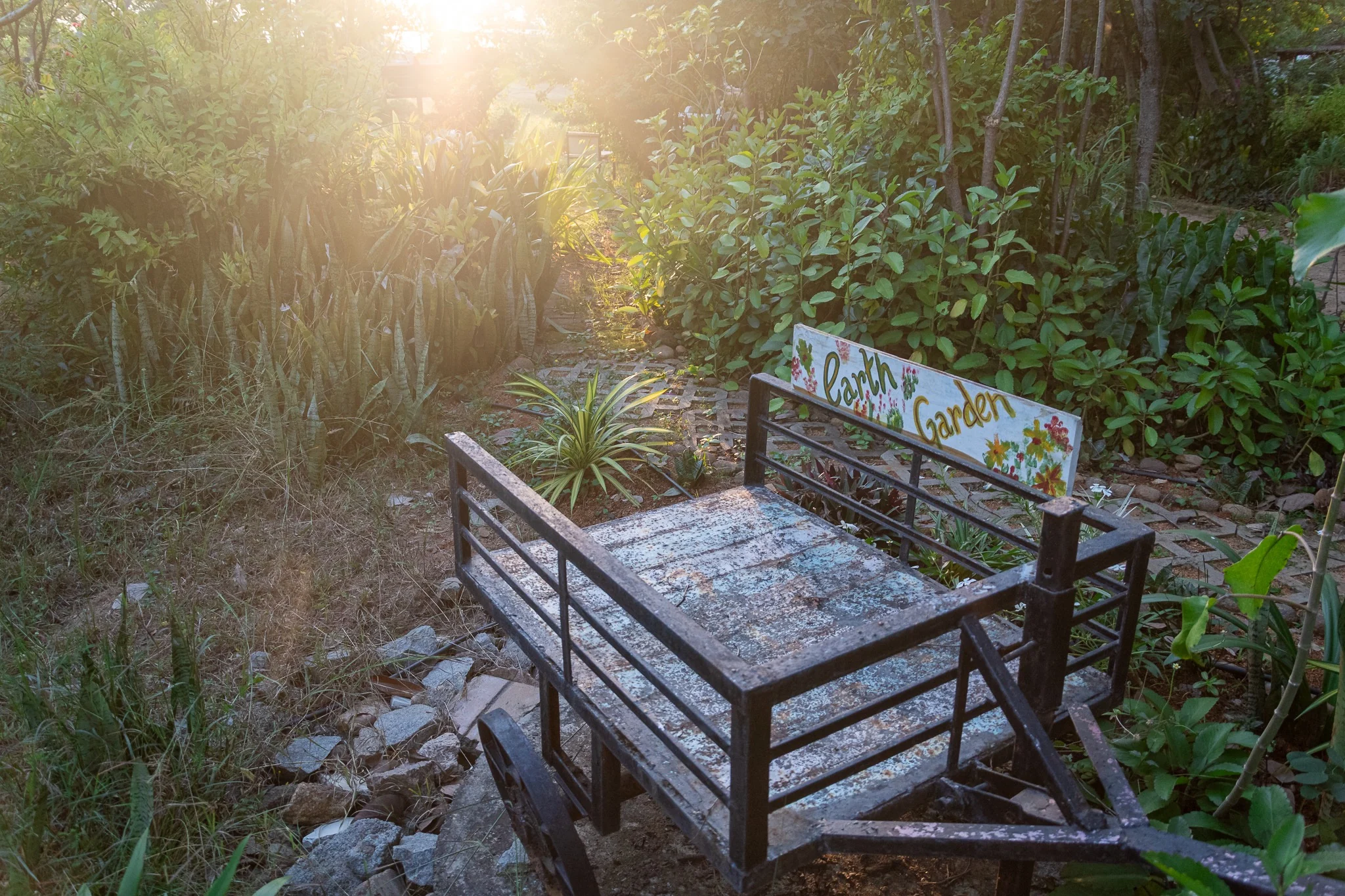 Garden cart with an Earth Garden sign among foliage in morning light at Arbor Road Estate.